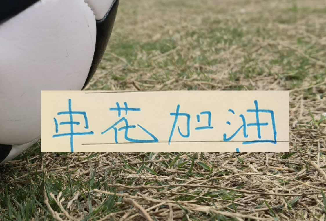 开云体育app下载-如果没有罚分的话！申花应该是夺冠热门 而不是在保级区域擦边
